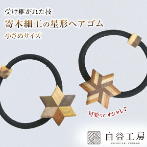 JH[ ؂̃wAS ߃TCY `wAS XgCv ؍׍H wAS |Cg ANZg 킢  fB[X   wAAW 􉽊w͗l ؐ 