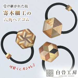 JH[ ؂̃wAS ZpwAS ؍׍H wAS |Cg ANZg 킢  fB[X   wAAW 􉽊w͗l  XgCv ؐ  