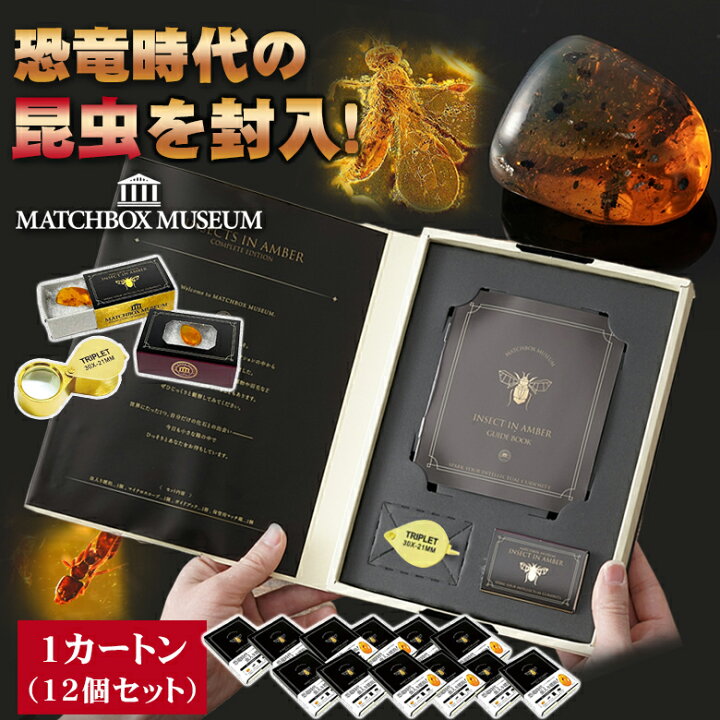 楽天市場】恐竜時代の昆虫！ 虫入り琥珀のコレクション 1カートン(12個 