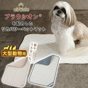 circule Jo[}bg ^p uPbg vEVI ybg}bg ybgxbh ybgpi wXPA ybgObY  ^  L  ˂ ETM  K VjA