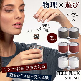 FEEL FLUX フィールフラックス スキルセット 2個セット SKILL SET アルミニウム合金 レンツの法則 反重力効果 電磁誘導 没入体験 新感覚 物理 科学の原理 視覚的 触覚的 集中力 思考力 創造性 大人向け玩具 時間潰し ハマる サイエンストイ スキルトイ アクショントイ
