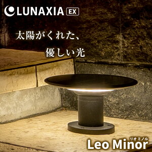 zd Ɩ LUNAXIA EX Leo MinoriI ~mj \[[Cg z Ɩ O h obe[ [d eX iVA \[[ Cg K[fCg X^hCg  
