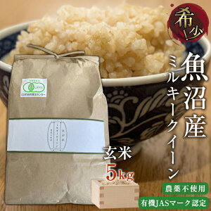 ߘa7NV Y _sgp L@F ~L[NC[  5kg L@JAS}[N L@͔| Y~L[NC[ VY~L[NC[ VN  Md