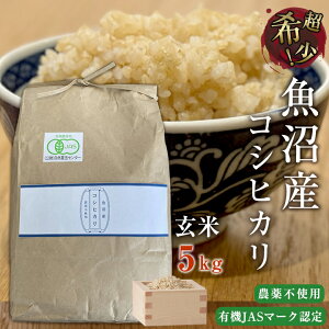 ߘa7NV Y _sgp L@F RVqJ  5kg L@JAS}[N L@͔| YRVqJ VYRVqJ VN  Md ܕsgp  ӂ  S肪