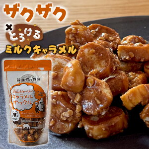 fRW[W[ LUbN 100g  XN ĉَq َq XC[c  nXC[c  XC[c Mtg َq َq W[W[ LXN 