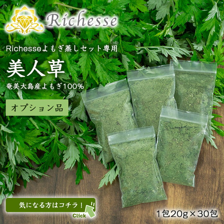 楽天市場】Richesse 黄土よもぎ蒸しフルセット スターターセット フル 