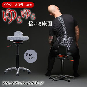 QOR360 Ariel2.0 �A���G�� �o�����X�`�F�A �C�X �֎q �A�N�e�B�u�V�b�e�B���O �h�N�^�[�I�X���[ �h������ �t�@�u���b�N �f�X�N���[�N ����p�� �T�|�[�g �V���v�� �g���ȒP �I�t�B�X ���r���O 