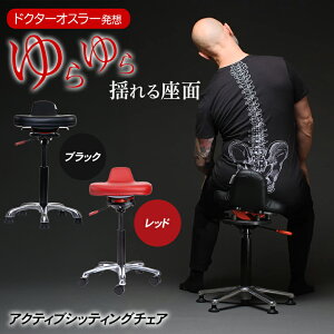 QOR360 Ariel2.0 �A���G�� �o�����X�`�F�A �C�X �֎q �h�N�^�[�I�X���[ �A�N�e�B�u�V�b�e�B���O �h������ �t�@�u���b�N �f�X�N���[�N ����p�� �T�|�[�g �V���v�� �g���ȒP �I�t�B�X ���r���O 
