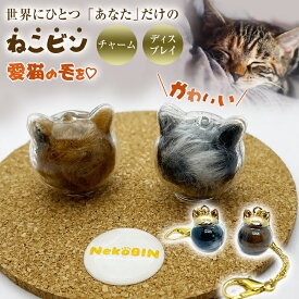 ねこビン チャーム ディスプレイ ねこびん ネコ瓶 ねこ瓶 nekobin かわいい 猫型キーホルダー 猫アクセサリー ユーモア ユニーク 発想力 他にない 猫の毛 貯毛 遺毛 手元供養 遺毛入れ キーホルダー アクセサリー 猫好き ねこギフト インテリア 置き物 文具ブラザーズ