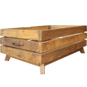 rtgN[g  JS g[ [Ƌ Öؐ Vr[Ƌ TCNEbh fUCi[Y AeB[NG k g NVbN _ } RST-35