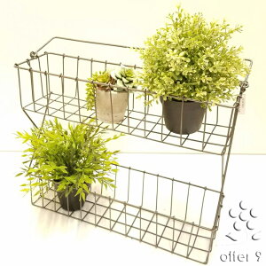 C[bN 2i bN oXPbg AeB[N C_XgA K[fjO v^[bN i`X^C k /1704-240