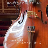 チェロ アジャスターネジ 「ソノリテAS 」カーネリアン  アジャ...