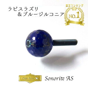 oCI rI AWX^[ lW u\meASEsXYHQv AWX^[ oCIAWX^[ v[g Wittner EBbgi[ y violin viola