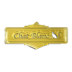 弦楽器グッズシャブラン