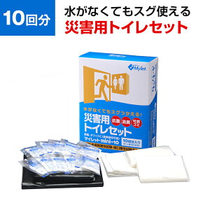 y511`4ԌP5{z}Cbg mini10 10 SESɃgC