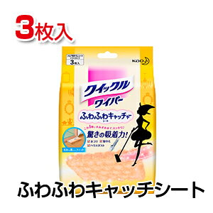 NCbNCp[ ӂӂLb`[V[g 13 ԉ EC-qwipe-r