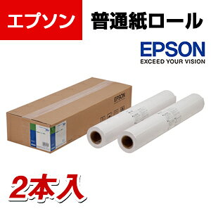 EPSON ʎ[  A0TCY 2{