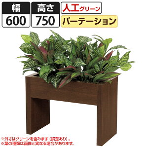 xN tFCNO[ ϗtA lH {bNXp[e[V GR2230 600×s300×750mm Y