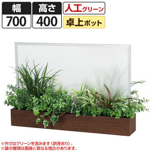 卓上 観葉植物の人気商品 通販 価格比較 価格 Com