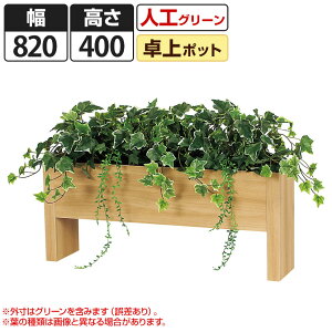 卓上 観葉植物の人気商品 通販 価格比較 価格 Com