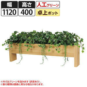 卓上 観葉植物の人気商品 通販 価格比較 価格 Com 卓上 観葉植物の人気商品 通販 価格比較 価格 Com