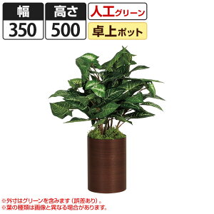 卓上 観葉植物の人気商品 通販 価格比較 価格 Com 卓上 観葉植物の人気商品 通販 価格比較 価格 Com