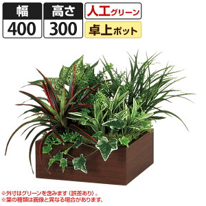 卓上 観葉植物の人気商品 通販 価格比較 価格 Com 卓上 観葉植物の人気商品 通販 価格比較 価格 Com