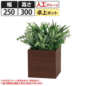 卓上 観葉植物の人気商品 通販 価格比較 価格 Com 卓上 観葉植物の人気商品 通販 価格比較 価格 Com