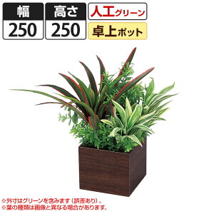 xN tFCNO[ CeAO[ ϗtA lH ~j|bg GR4385