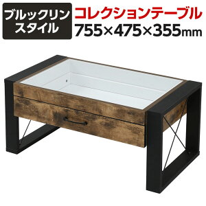 ubNX^C RNV Z^[e[u KXe[u [e[u 755×s475×355mm ot FBR-0005-BKBR