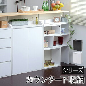 ς莮 Lb`JE^[[ J 3i 60×s22cm/JKP-YHK-0205Lb`[ HI Lrlbg VFt 䏊[ HI H[ RpNg  ωJ05P05July14