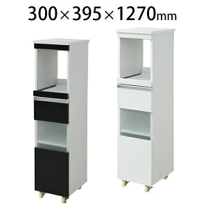 Lb`bN ƓdbN XbN LX^[t nC^Cv 300×s395×1270mm FKC-0003