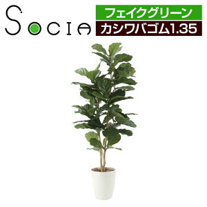 フェイクグリーン 光触媒の人気商品 通販 価格比較 価格 Com