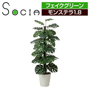 フェイクグリーン 光触媒の人気商品 通販 価格比較 価格 Com
