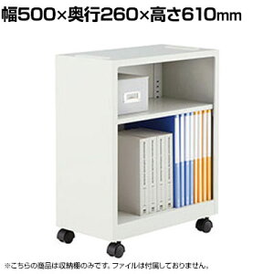 NAIKI(iCL)fXN[ 500×s330×610mm fXNS fXNS t@CS TChS fXNLrlbg