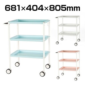X`[S 3i LX^[t 681×404×805 RFWG-STS J[g X`[ TS 681mm 404mm 805mm nht tbNt zCg sN u[ LX^[ [S bN e