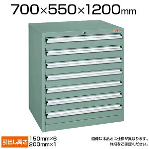 TJG dʃLrlbg SKV^Cv 7i t I[bN ϓω׏d100kg(o1i) 700×s550×1200mm SKV7-1272ANGN