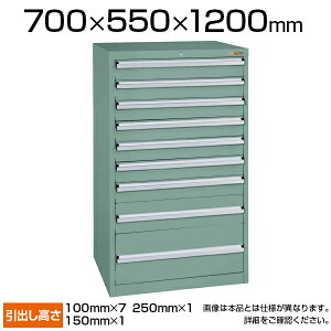 TJG dʃLrlbg SKV^Cv 9i t ϓω׏d100kg(o1i) 700×s550×1200mm SKV7-1291ANGN