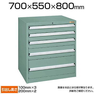 TJG dʃLrlbg SKV^Cv 5i t I[bN ϓω׏d100kg(o1i) 700×s550×800mm SKV7-851ANGN
