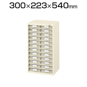 TJG sbNP[X p[cLrlbg X`[P[X o 212i 300×s223×540mm L2-24