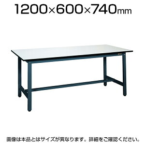 TJG yʍƑ Ɨpe[u SEL^Cv ϓω׏d250kg 1200×s600×740mm SEL-1260P