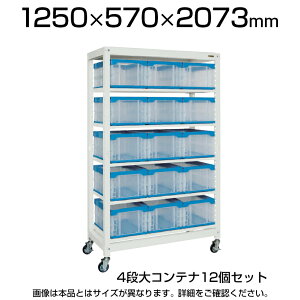 y{́zTJG }`vbN Rei[^Cv(ړ) 4iRei(50BTM) 12Zbg ŒI ω׏d50kg 1250(Ԍ) ×s570×2073mm [{bNX iǗ SKE-MR1950BLC