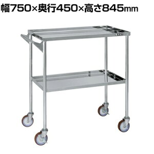 TJG XeXCSS t iCE^ SUS304 I2i ω׏d40kg/i 750×s450×845mm CSE-FSU