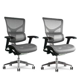 メッシュチェア ハイバック X-Chair X2 幅648×奥行660×高さ990～1099mmパソコンチェア ゲームチェア Gaming Chair 椅子 イス いす PCチェア テレワーク