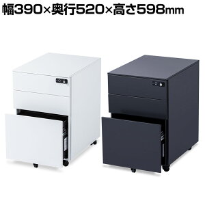 y@llzwF؃bN3iLrlbg 390×s520×598mmfXNS A4 t@C ItBX ItBXƋ ItBXS [ Lrlbg LX^[t LX^[ S