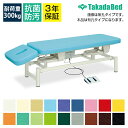 ◇サイズ選択有◇電動昇降ベッド 【ガスシリンダー式ヘッド調節】 あかり-GS TB-594 マッサージベッド 施術用ベッド 施術ベッド 電動ベッド エステ 医療用 整体 病院用 美容室 業務用