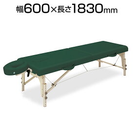 高田ベッド マッサージ 整体 施術 ボディマッサージ エステ用ベッド ポータブルベッド 折りタタミ式木製ベッド 高さ調整可 TB-209-01 カルロス60