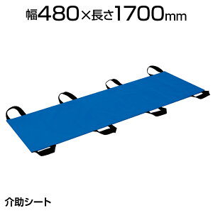 y511`5ԌP5{zcxbh җpڏT|[gV[g TB-981 V[g
