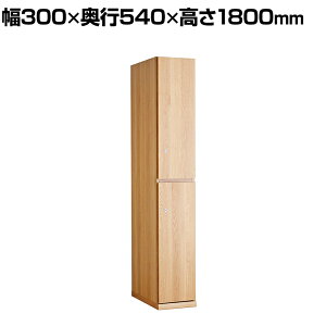 TML ؐbJ[ 2lp i` t 300×s540×1800mm ItBXbJ[ XbJ[ X߃bJ[ [I  yYzyiz n
