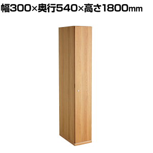 TML ؐbJ[ 1lp i` t 300×s540×1800mm ItBXbJ[ XbJ[ X߃bJ[ [I  yYzyiz n